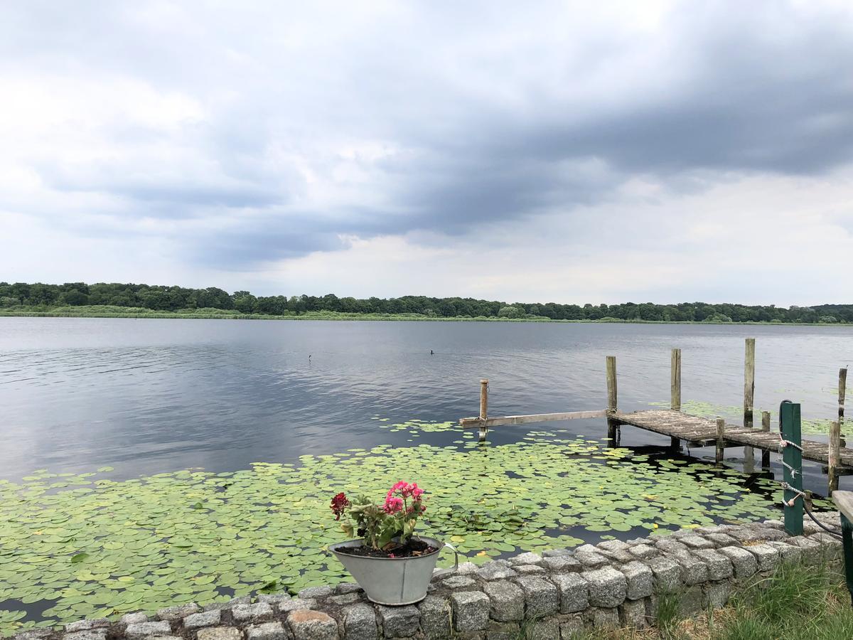 Ferienwohnung Auf Der Insel Werder  Exterior foto